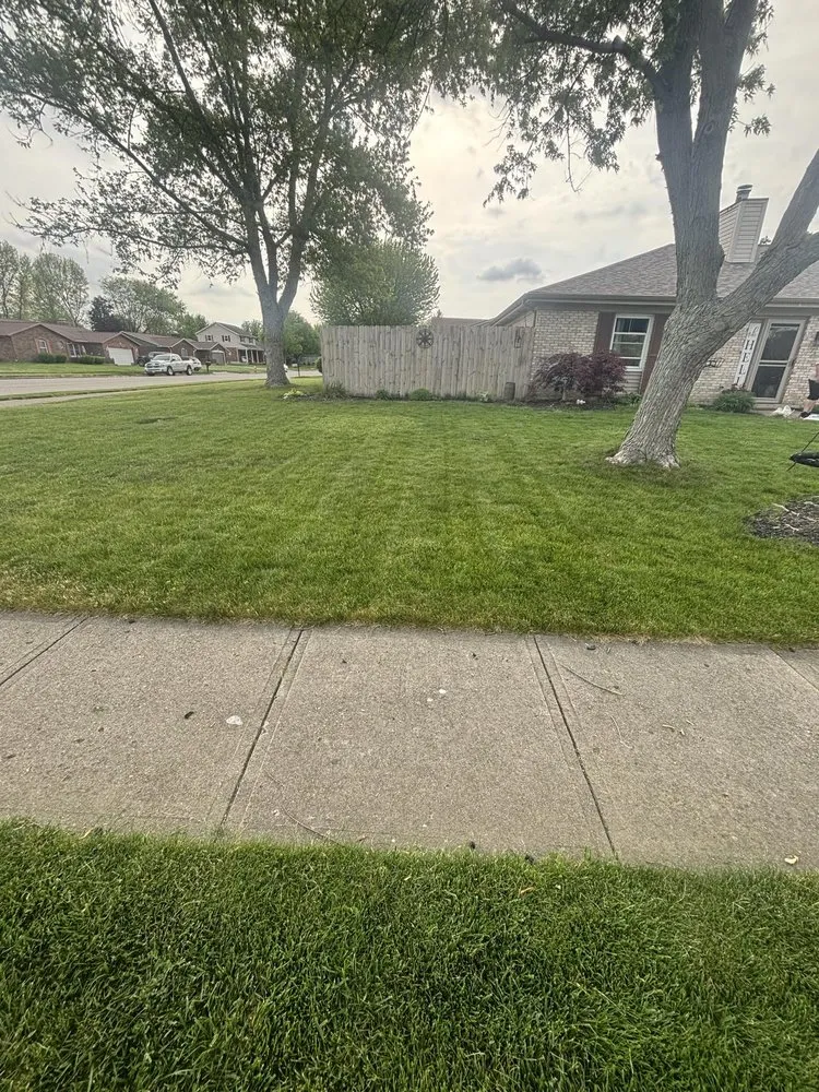 Top-rated yard cleanup service in Englewood, OH - Perfect Lawns