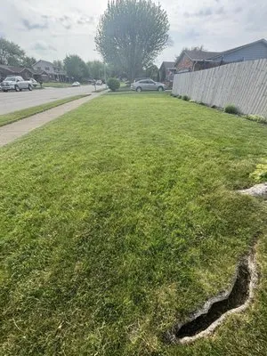 Perfect Lawns