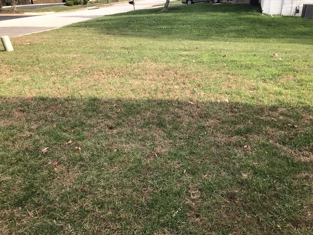 Trusted lawn mowing service in Landover, MD - Perfect Lawns