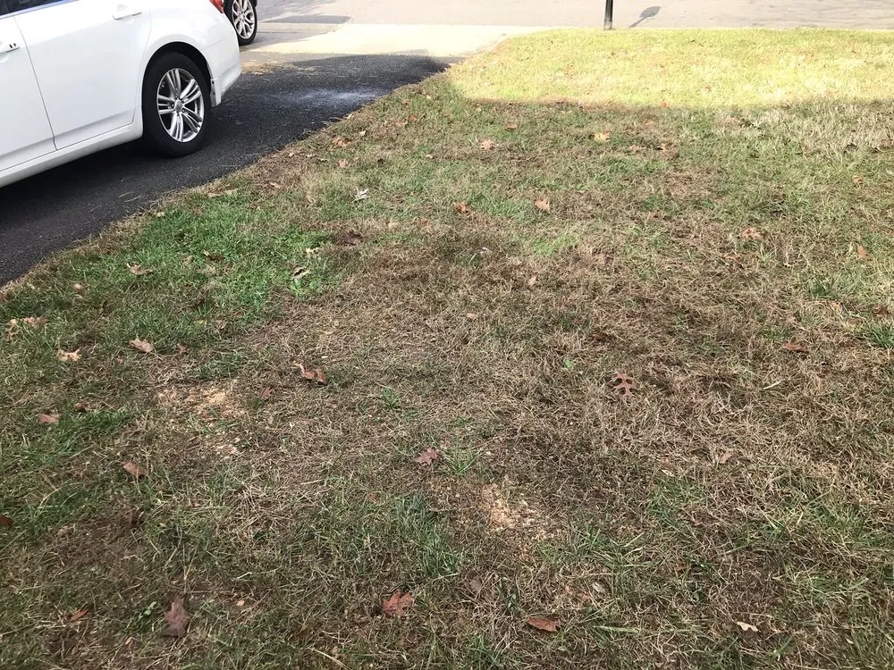 Trusted landscape design experts serving Landover, MD - Perfect Lawns