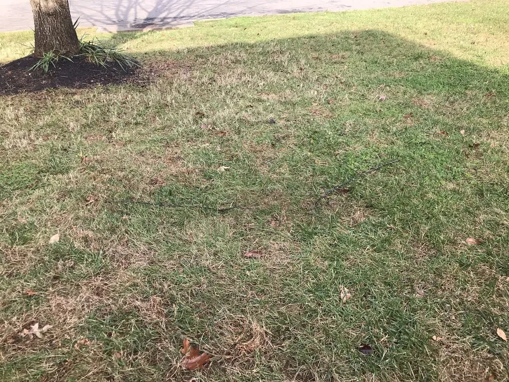 Reliable garden landscaping in Landover, MD by Perfect Lawns