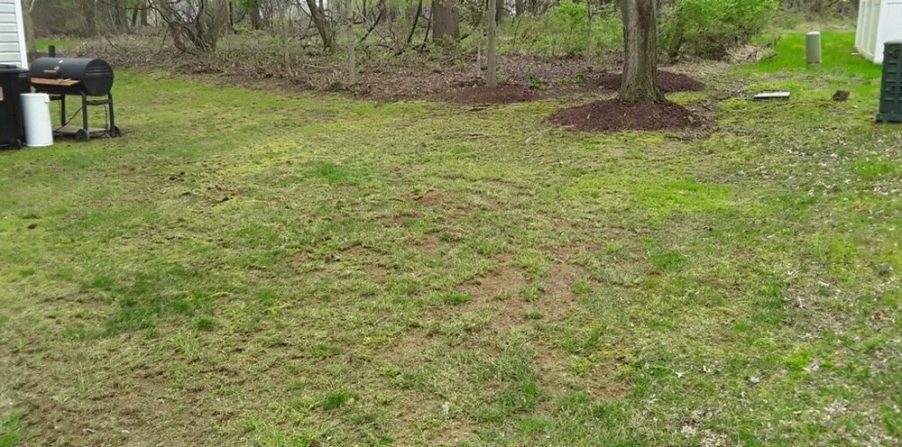 Professional lawn care service experts serving Landover, MD - Perfect Lawns