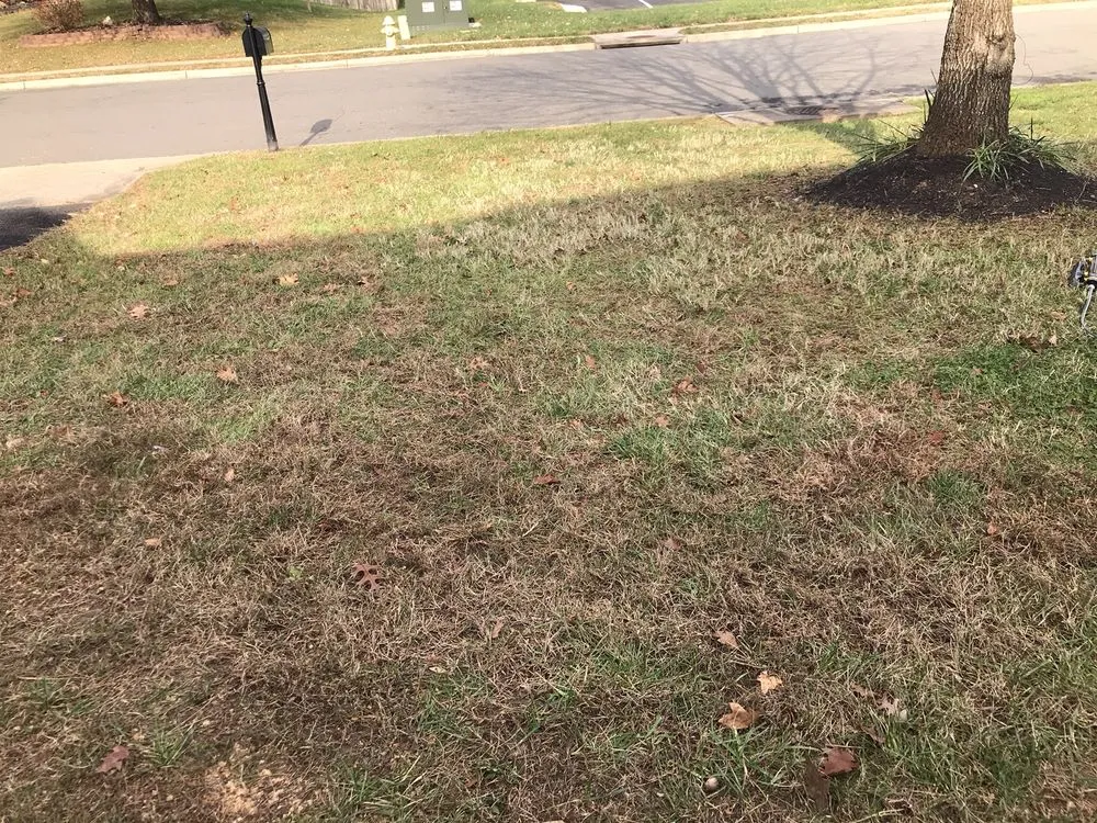 Top-rated landscape installation in Landover, MD - Perfect Lawns