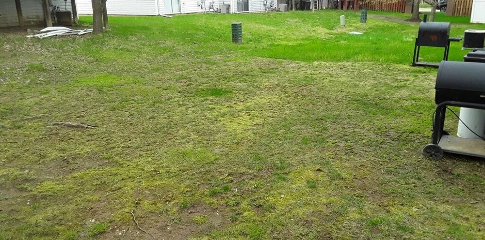 Affordable residential landscaping in Landover, MD by Perfect Lawns