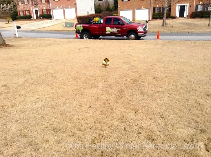 Top-rated landscape installation experts serving Conyers, GA - Perfect Leaf Management