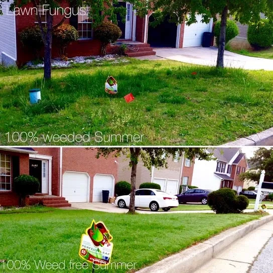 Affordable lawn care service for year-round maintenance across Conyers, GA - Perfect Leaf Management