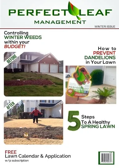 Trusted landscaping services for beautiful yards in Conyers, GA by Perfect Leaf Management