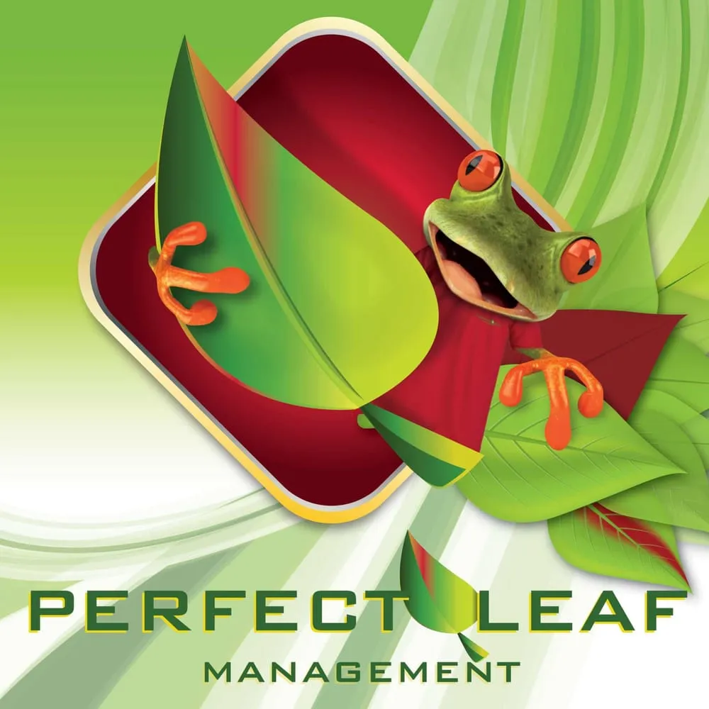 Reliable landscaping services for residential properties in Conyers, GA by Perfect Leaf Management