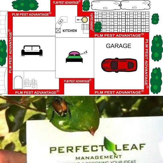 Affordable outdoor landscaping for homes across Conyers, GA - Perfect Leaf Management