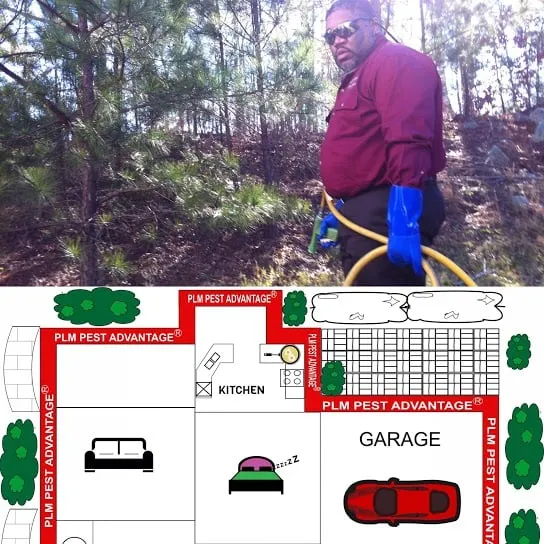 Custom lawn care service in Conyers, GA by Perfect Leaf Management