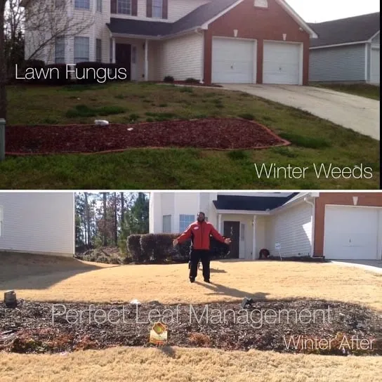 Local landscaping services for homes in Conyers, GA by Perfect Leaf Management