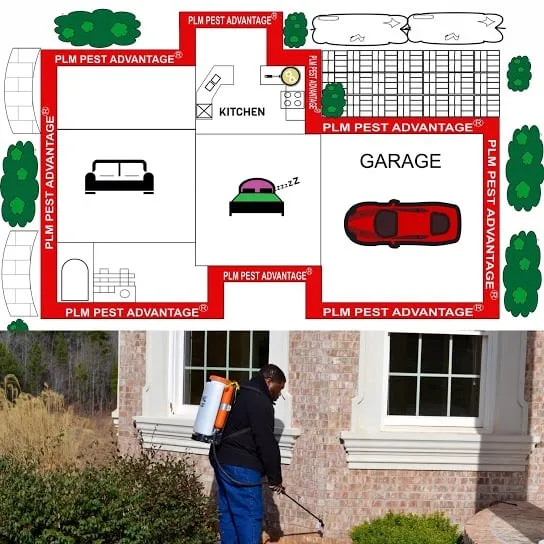 Professional landscape installation in Conyers, GA - Perfect Leaf Management