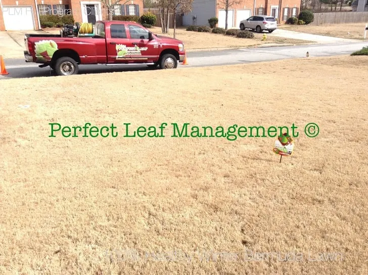 Professional lawn mowing service for residential properties in Conyers, GA by Perfect Leaf Management
