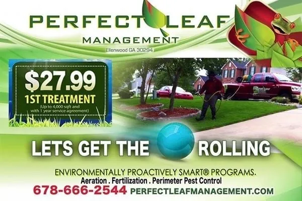 Expert residential landscaping in Conyers, GA - Perfect Leaf Management