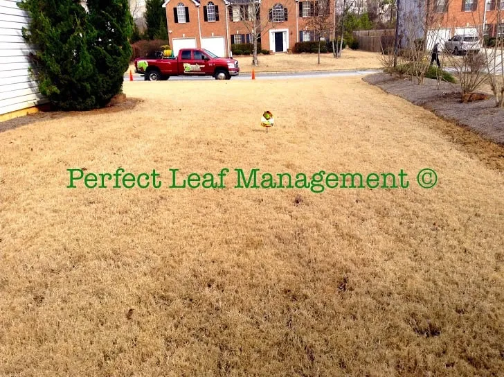 Reliable residential landscaping in Conyers, GA by Perfect Leaf Management