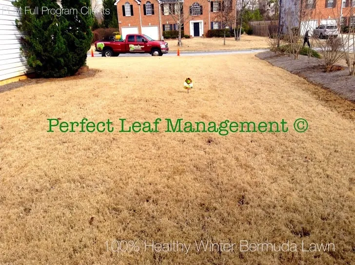 Custom lawn care service experts serving Conyers, GA - Perfect Leaf Management