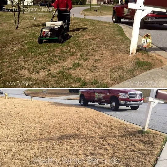Local outdoor landscaping for beautiful yards in Conyers, GA by Perfect Leaf Management