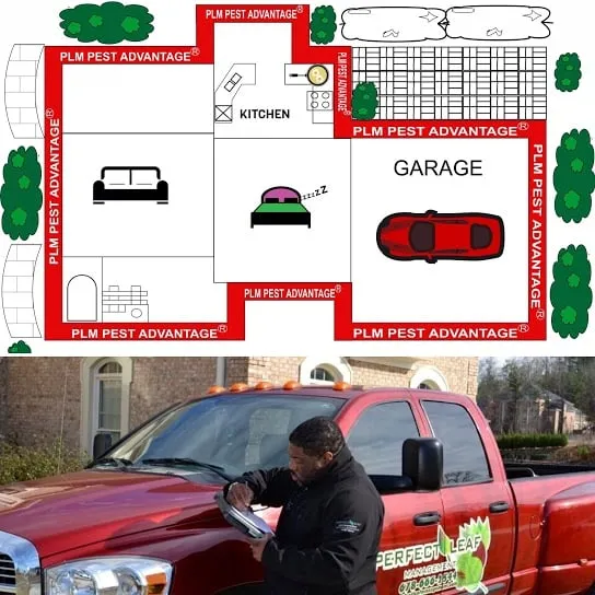 Professional yard maintenance for year-round maintenance in Conyers, GA by Perfect Leaf Management