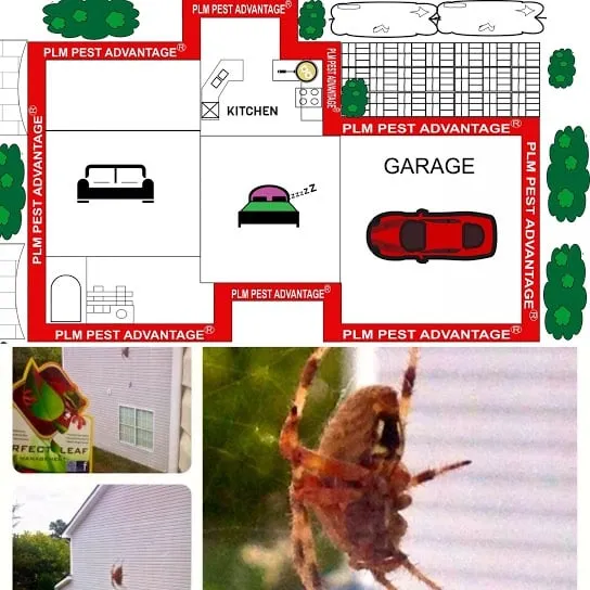 Custom lawn care service for outdoor upgrades across Conyers, GA - Perfect Leaf Management