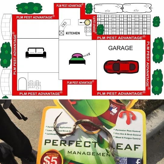 Local landscape design in Conyers, GA by Perfect Leaf Management