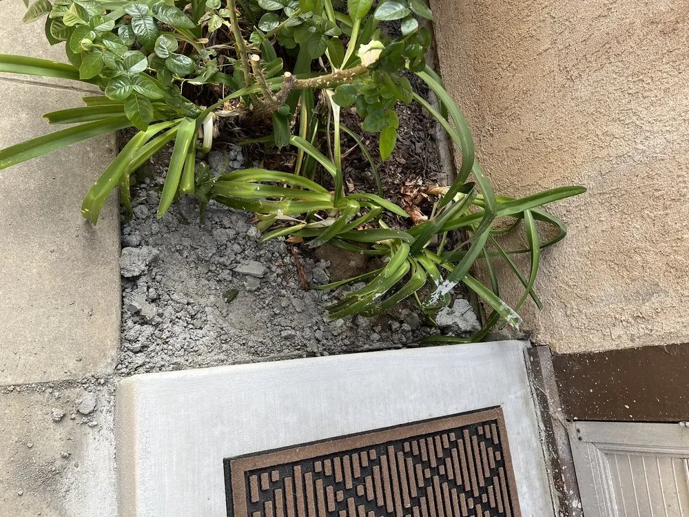 Expert landscaping services experts serving Cerritos, CA - Perfect Line Remodeling