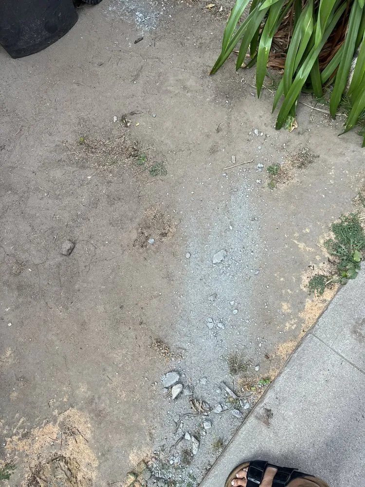 Custom yard cleanup service experts serving Cerritos, CA - Perfect Line Remodeling