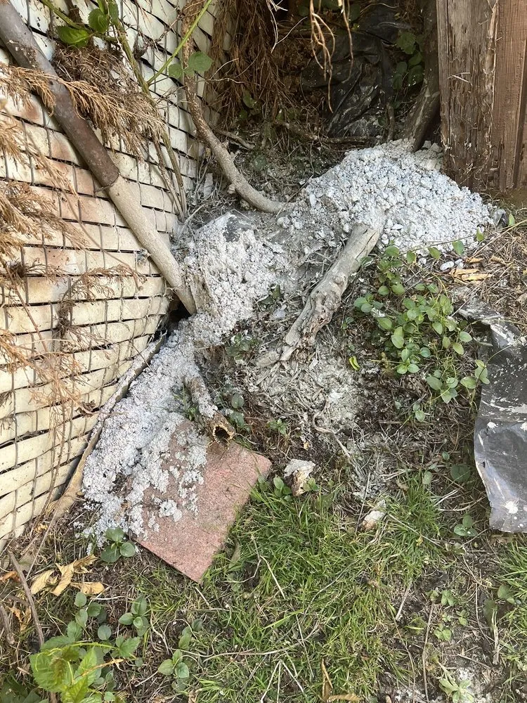 Affordable landscaping services in Cerritos, CA by Perfect Line Remodeling