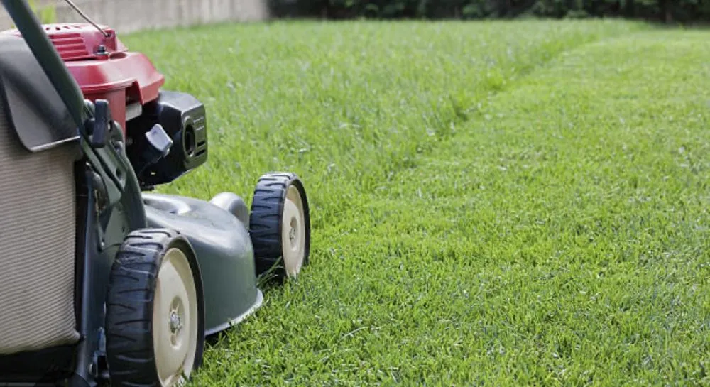 Custom yard maintenance experts serving Vancouver, WA - Perfect Mowing