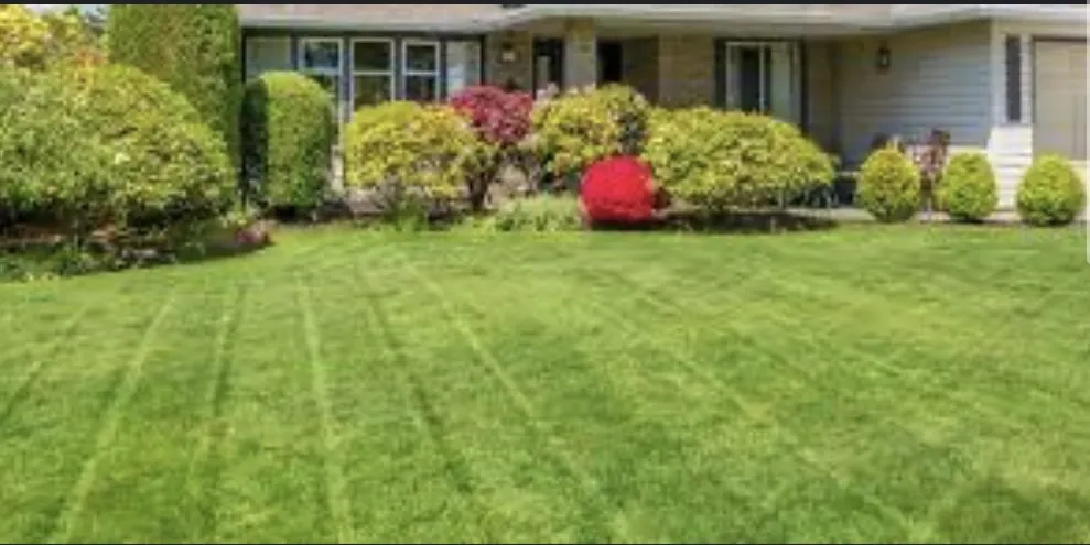 Top-rated landscape installation in Vancouver, WA by Perfect Mowing
