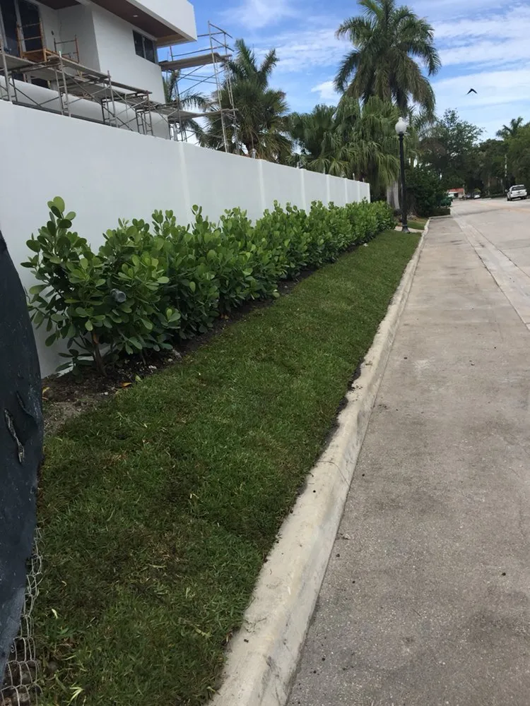 Trusted yard cleanup service in Miami, FL - Perfect Nursery & Landscape Designs