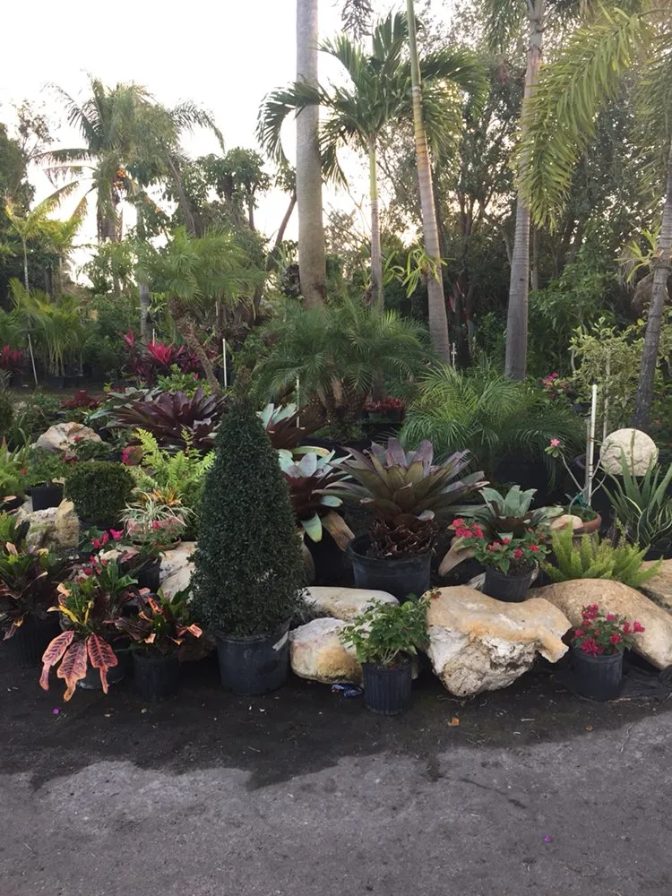 Expert landscape installation in Miami, FL - Perfect Nursery & Landscape Designs
