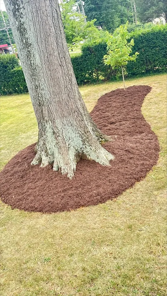 Affordable landscape design for residential properties in Mount Holly, NC by Perfect Pace Lawn & Landscaping