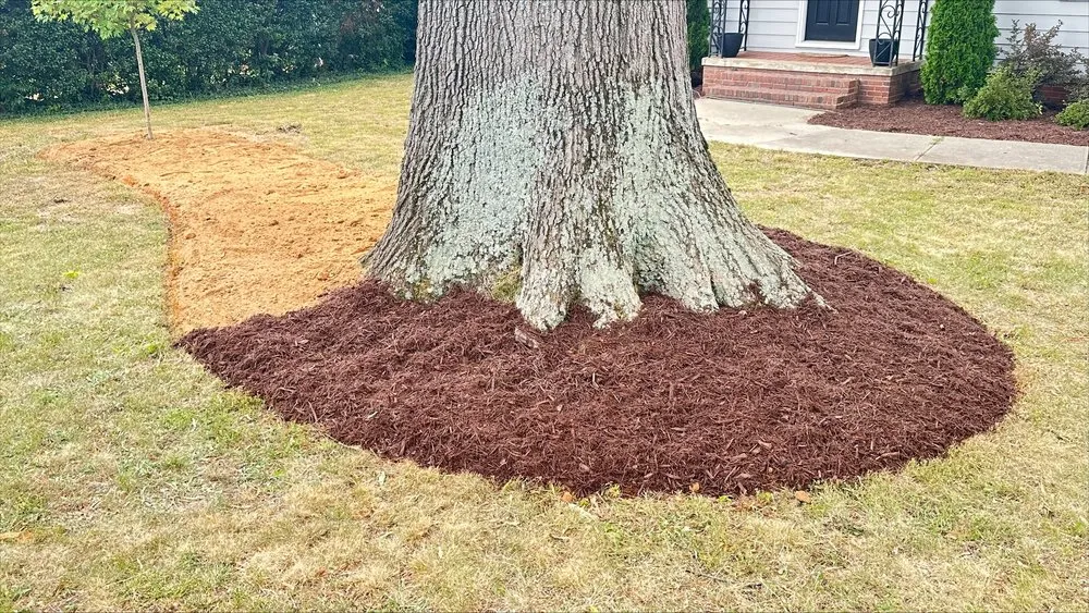 Reliable lawn mowing service for homes across Mount Holly, NC - Perfect Pace Lawn & Landscaping