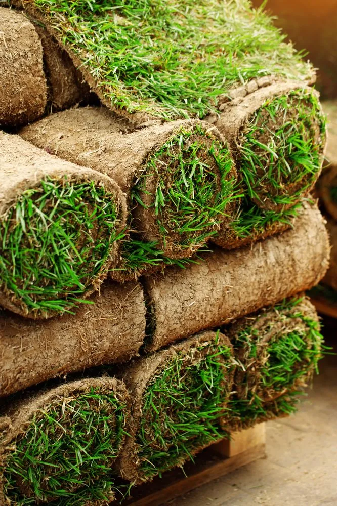 Top-rated outdoor landscaping in Mount Holly, NC by Perfect Pace Lawn & Landscaping