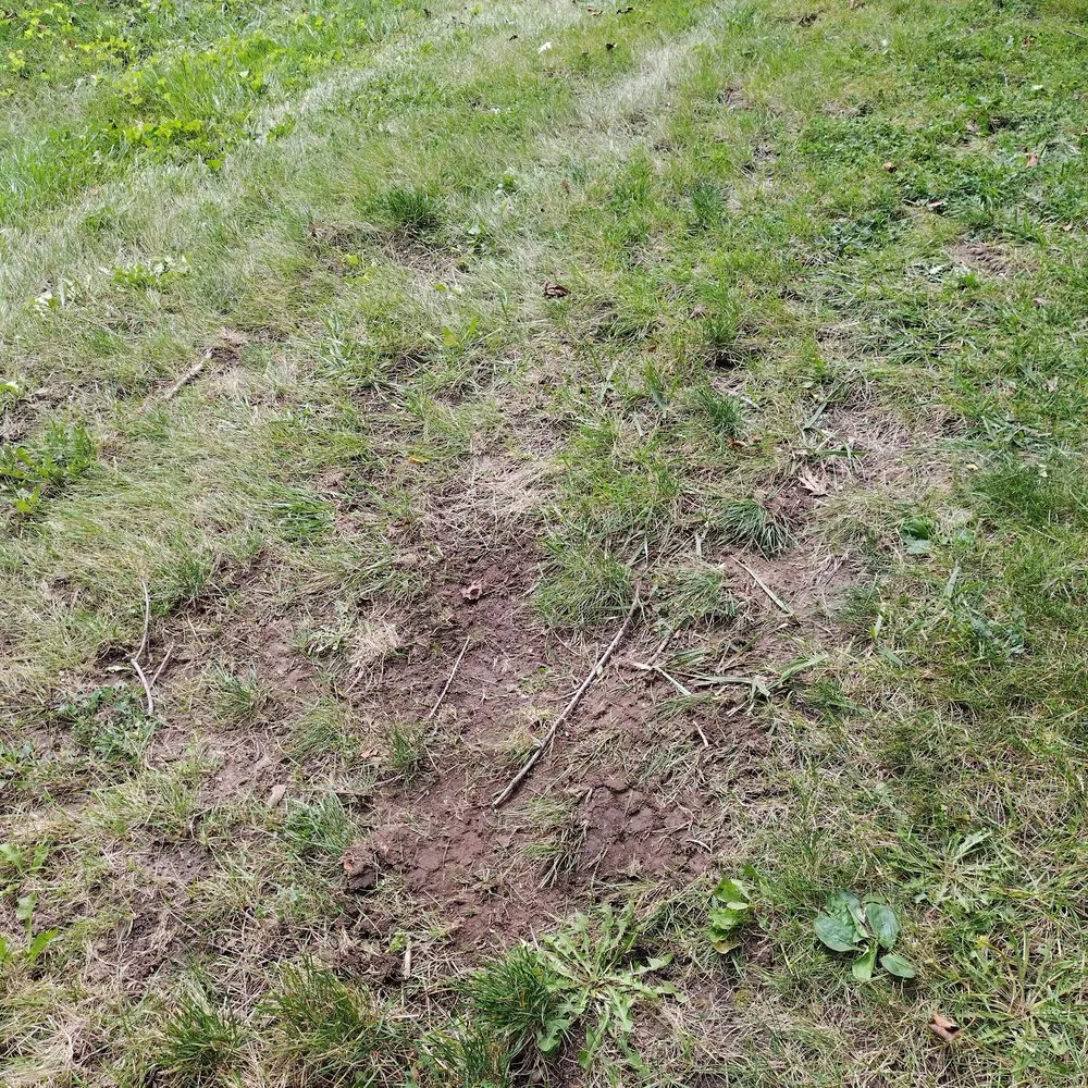 Affordable landscape design for outdoor upgrades across ROMEO, MI - Perfect Pastures Landscaping