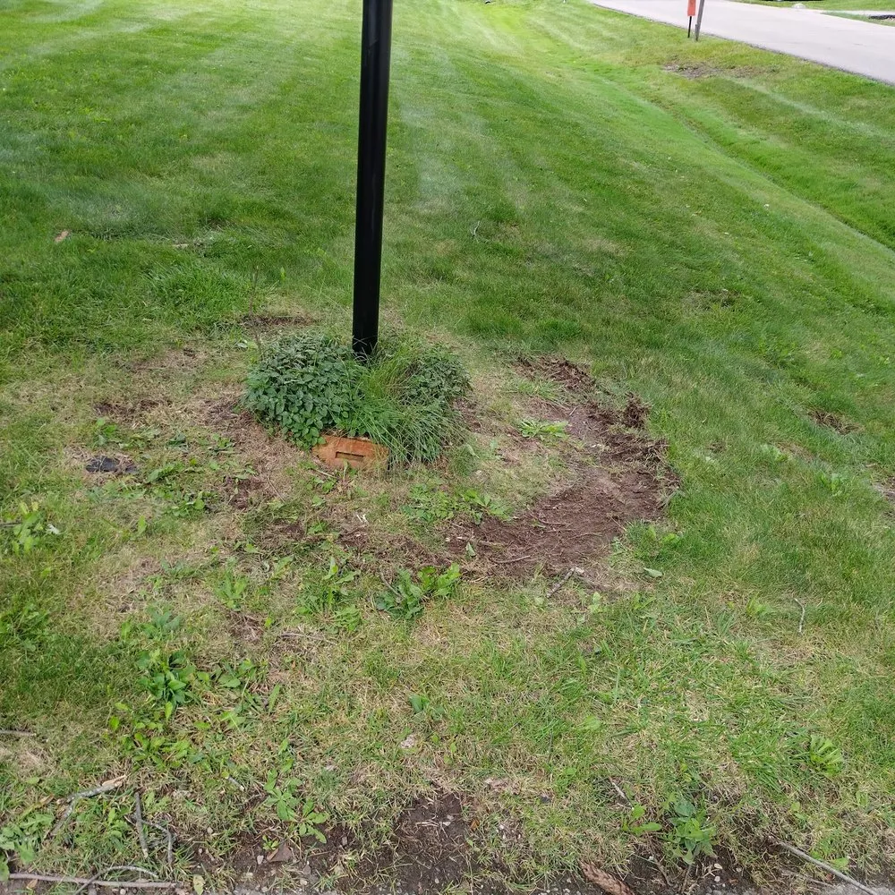 Affordable landscape design for residential properties across ROMEO, MI - Perfect Pastures Landscaping