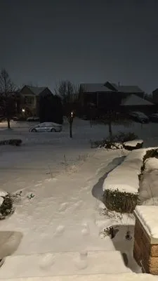 Perfect Pastures Landscaping