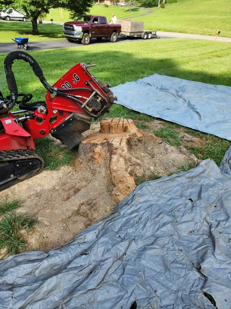 Top-rated landscape installation experts serving Jonesborough, TN - Perfect Pitch Lawn Care