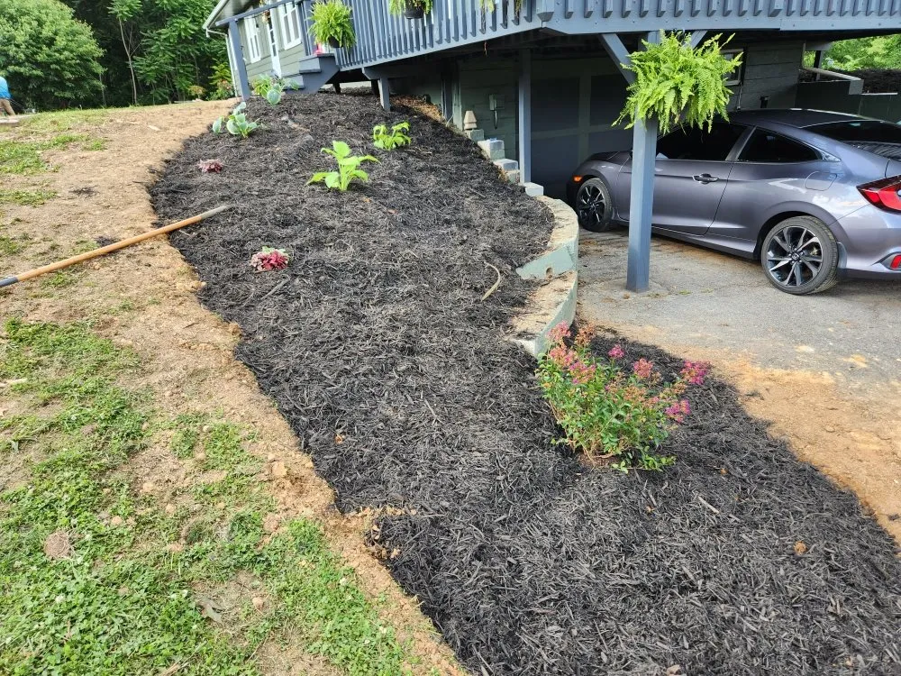 Local yard maintenance in Jonesborough, TN - Perfect Pitch Lawn Care