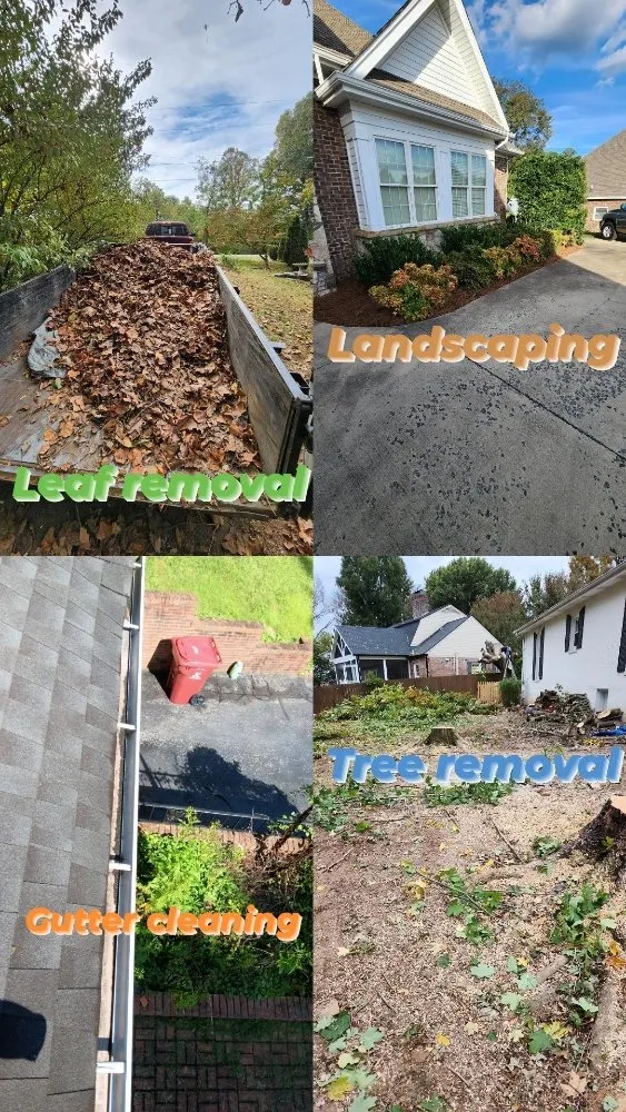 Reliable yard maintenance experts serving Jonesborough, TN - Perfect Pitch Lawn Care