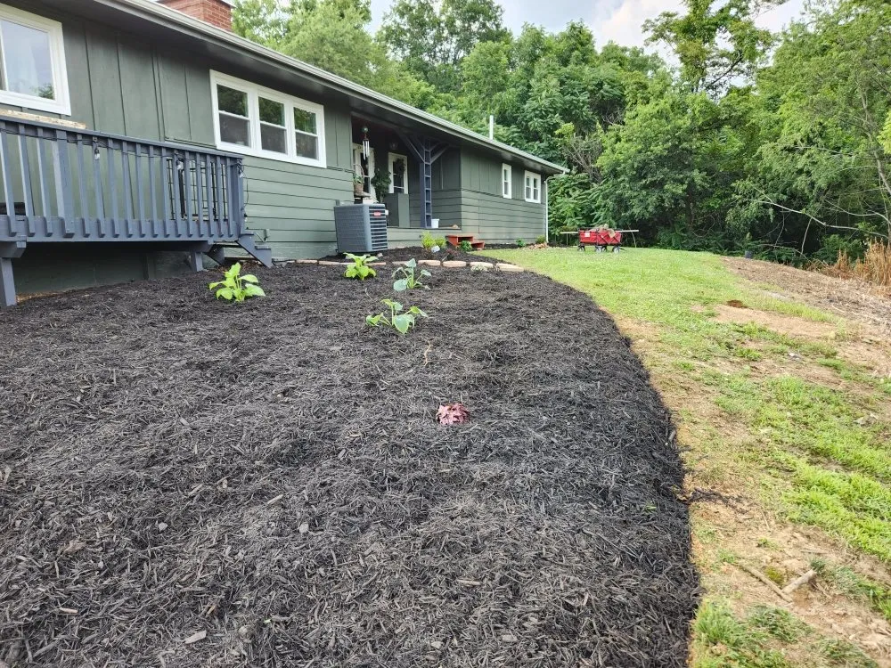 Professional lawn mowing service experts serving Jonesborough, TN - Perfect Pitch Lawn Care