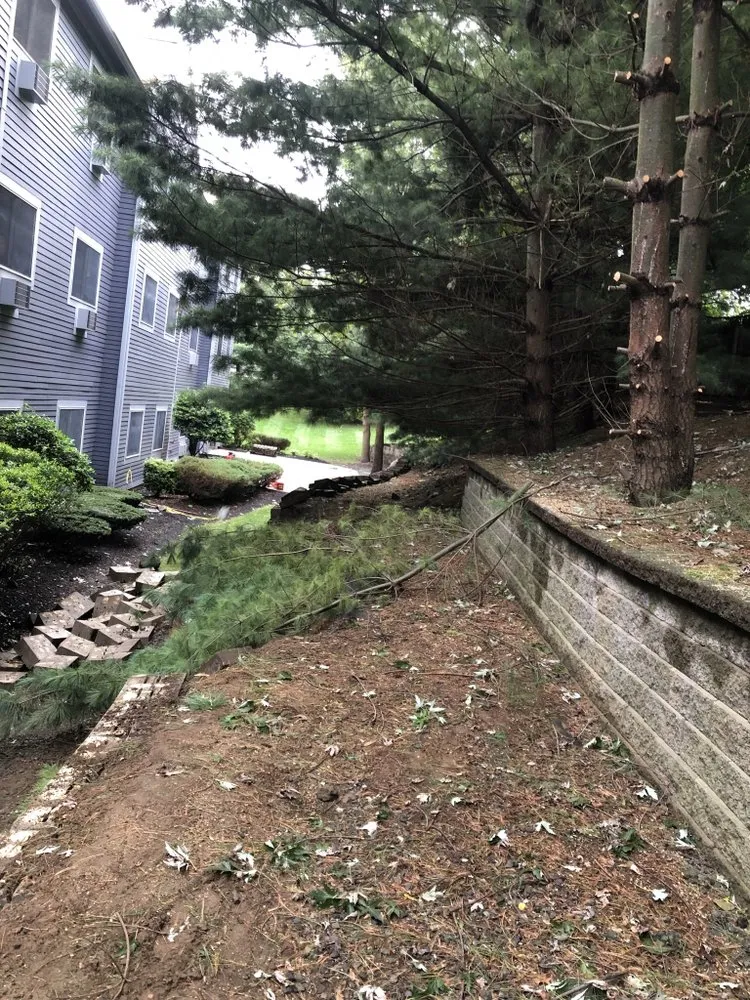 Expert residential landscaping in Foster, RI by Perfect Season Landscaping