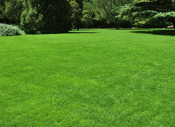 Trusted outdoor landscaping in New Lexington, OH by Perfect Shadow Lawn Care