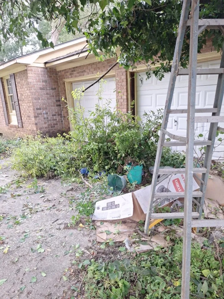 Professional outdoor landscaping in Columbia, SC - Perfect Solution Home Service