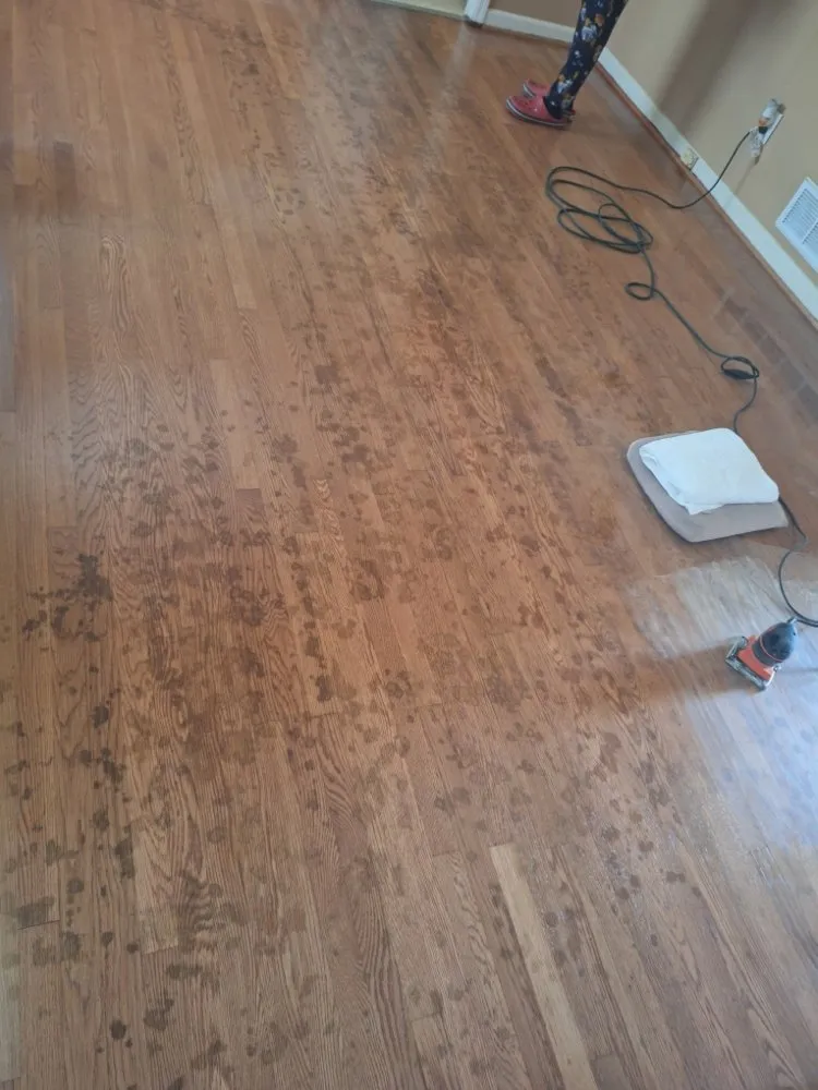 Top-rated lawn mowing service in Columbia, SC by Perfect Solution Home Service