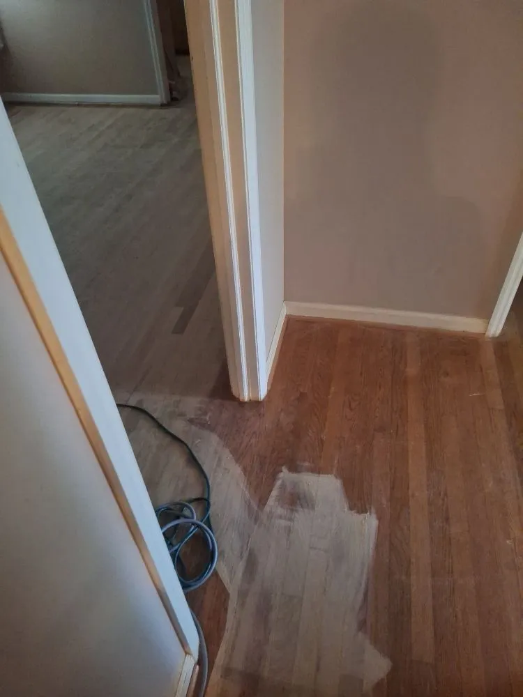 Custom lawn care service near you in Columbia, SC by Perfect Solution Home Service