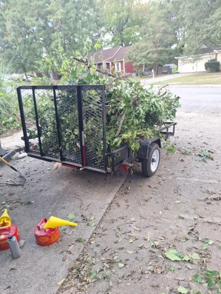 Affordable outdoor landscaping in Columbia, SC - Perfect Solution Home Service