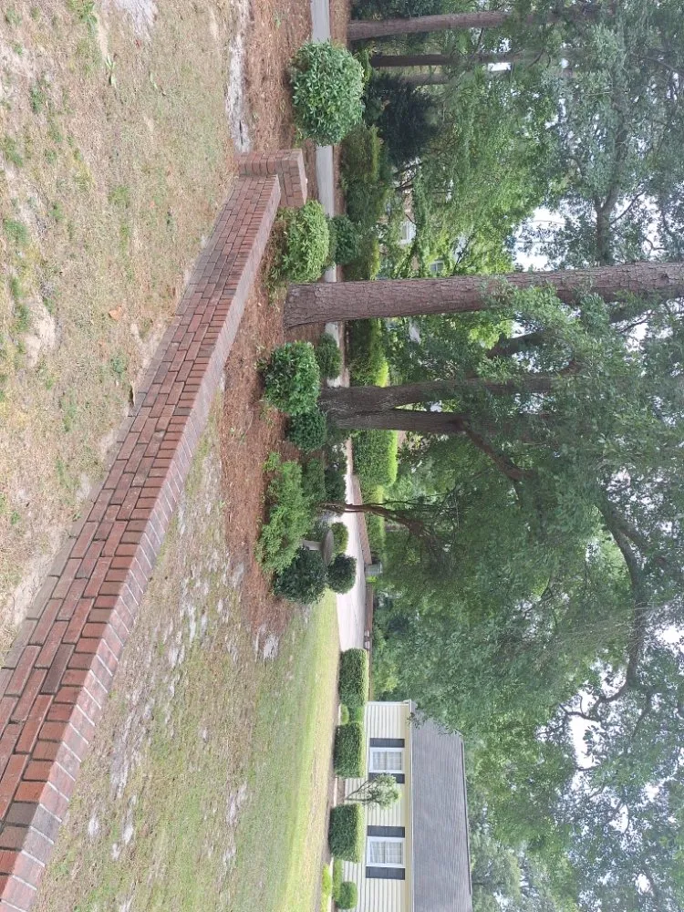 Expert lawn mowing service in Columbia, SC by Perfect Solution Home Service