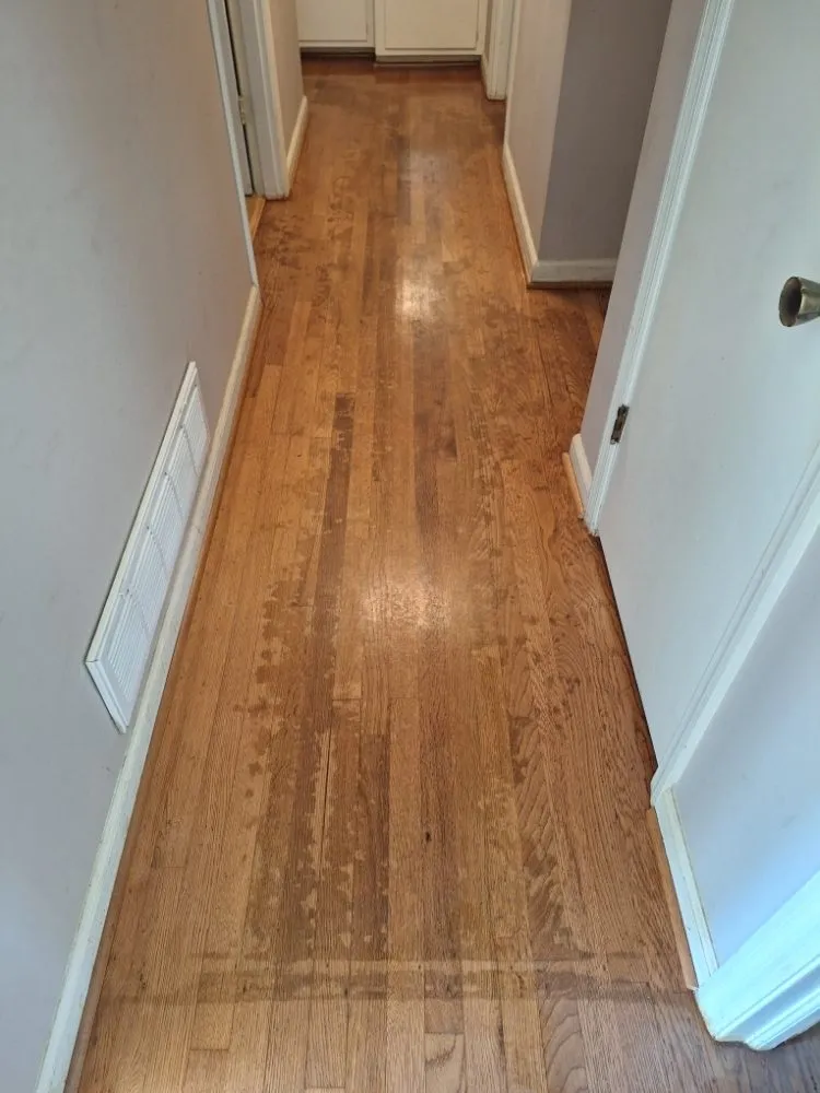 Local lawn care service for outdoor upgrades across Columbia, SC - Perfect Solution Home Service