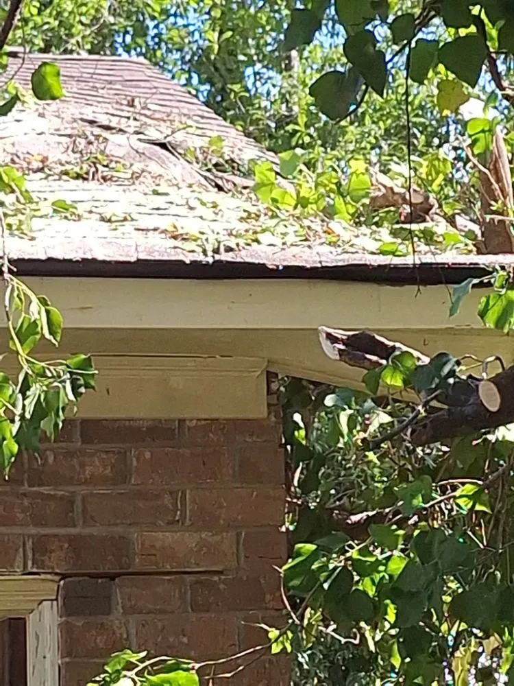 Reliable landscape design for beautiful yards across Columbia, SC - Perfect Solution Home Service